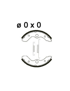 Mâchoire de freins AP RACING