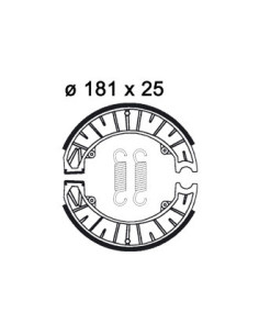 Mâchoire de freins AP RACING