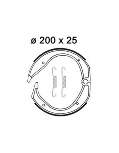 Mâchoire de freins AP RACING