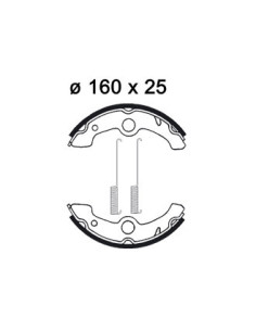 Mâchoire de freins AP RACING