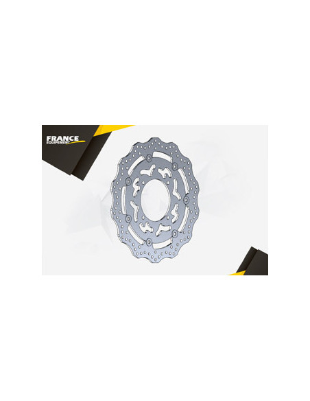 Disque de frein FE.FLS26501V