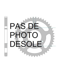 AFAM COURONNE ACIER au pas de 428 pour GILERA/MZ AFA56200