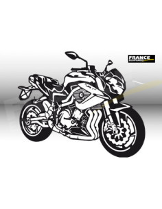 Décoration Laser Moto BENELLI 899.CAFE RACER '2010