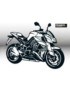 Décoration Laser Moto  KAWASAKI  Z.1000
