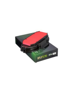 Filtre à air  HIFLOFILTRO  HFA1715