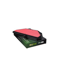 Filtre à air  HIFLOFILTRO  HFA2925