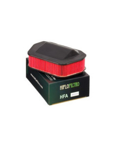 Filtre à air  HIFLOFILTRO  HFA4919