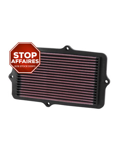 Replacement Air Filter