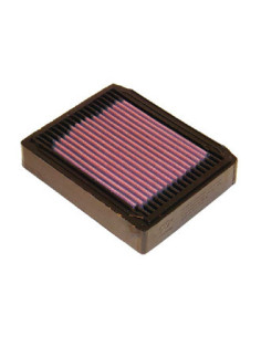 Replacement Air Filter