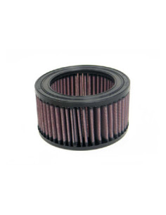 Replacement Air Filter