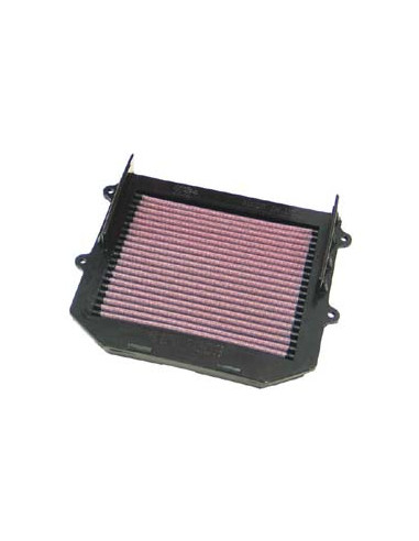 Replacement Air Filter