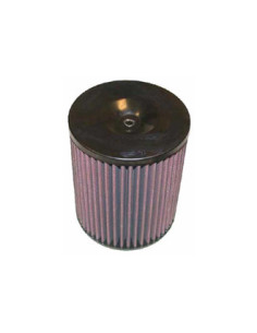 Replacement Air Filter