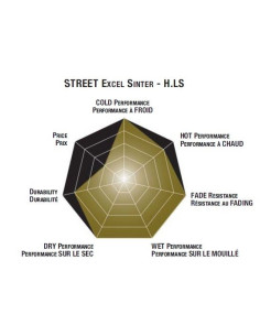 Plaquettes de frein moto SBS Harley Arriére Sinter 668H.LS 2