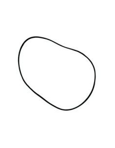 Joint de culasse  ATHENA