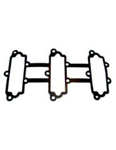 Joint pour collecteur d'admission ATHENA