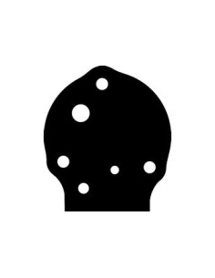 Joint pompe essence  ATHENA