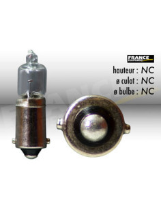 AMPOULE TEMOIN AVEC CULOT RING BA9S 12V10W