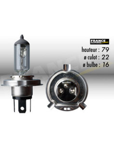 AMPOULE CODE HALOGENE RING H4 P43T 12V60/55W