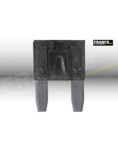 FUSIBLE PLAT MINIATURE ENFICHABLE 2A 11.4x16.3mm