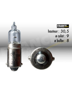 AMPOULE TEMOIN AVEC CULOT RING BA9S 12V20W