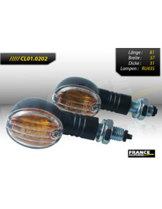 Paire de clignotants, ampoule halogène.