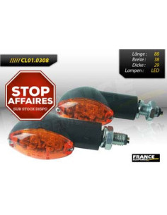 Paire de clignotants, tige courte, ampoule LED.