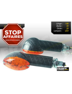 Paire de clignotants, tige longue, ampoule LED.