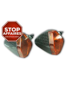 Paire de clignotants, ampoule halogène.