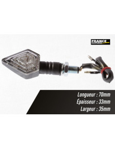 Paire de clignotants, ampoule LED.