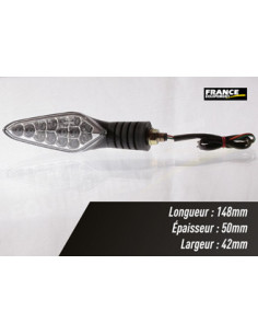 Paire de clignotants, ampoule LED.