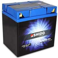 Batterie pour moto LITHIUM SKYRICH YT12B-BS