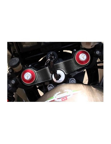 Protège T de fourche "Carbone" pour APRILIA RSV FALCO