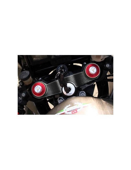 Protège T de fourche "Carbone" pour APRILIA RSV FALCO