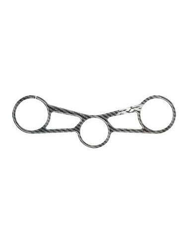 Protège T de fourche "Carbone" pour BMW S 1000RR  2015