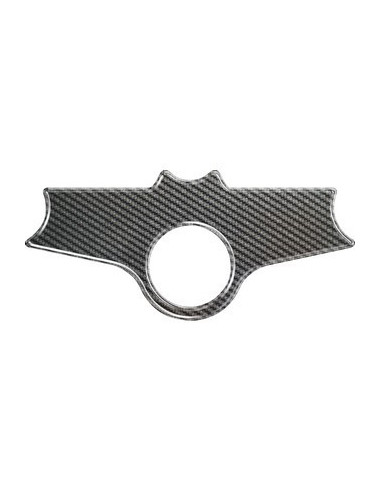 Protège T de fourche "Carbone" pour BMW R 1100 S