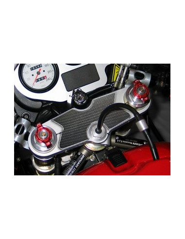 Protège T de fourche "Carbone" Ducati 620-750-800-900-1000 SS/SPORT