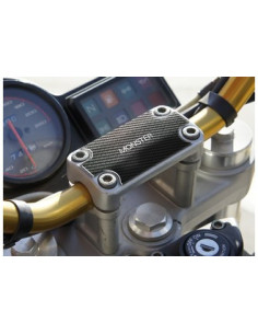 Protège T de fourche "Carbone" pour DUCATI MONSTER marqué MONSTER3