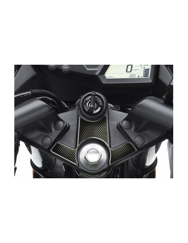 Protège T de fourche "Carbone" pour Kawasaki ZX 250 R - ZX 300 ABS 200