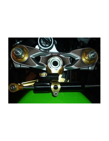 Protège T de fourche "Carbone" pour Kawasaki ZX6R 2005-2006