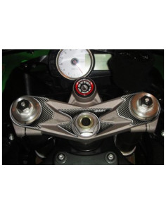 Protège T de fourche "Carbone" pour Kawasaki ZX6R 2007-2008