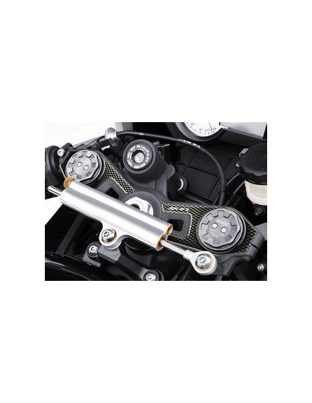 Protège T de fourche "Carbone" pour Kawasaki ZX6R 2009-2011