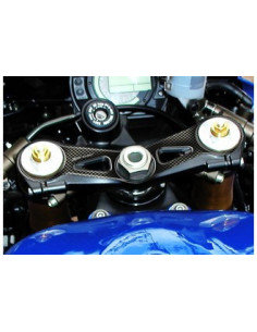 Protège T de fourche "Carbone" pour Kawasaki ZX10R 2004-2005