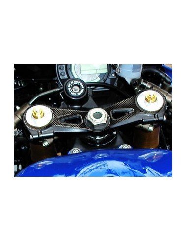 Protège T de fourche "Carbone" pour Kawasaki ZX10R 2004-2005