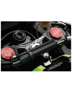 Protège T de fourche "Carbone" pour Kawasaki ZX10R 2011-2015