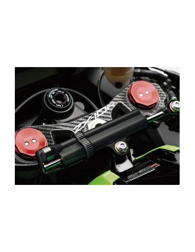 Protège T de fourche "Carbone" pour Kawasaki ZX10R 2011-2015