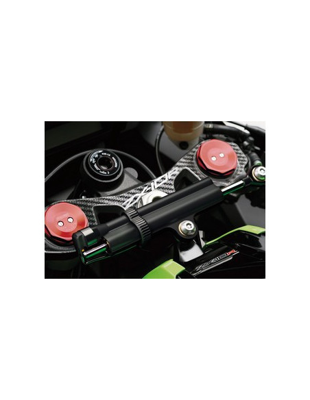 Protège T de fourche "Carbone" pour Kawasaki ZX10R 2011-2015