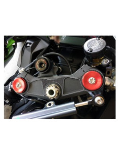 Protège T de fourche "Carbone" pour Kawasaki ZX10R  2016-2017