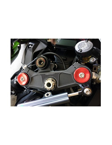 Protège T de fourche "Carbone" pour Kawasaki ZX10R  2016-2017