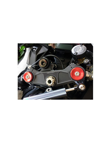 Protège T de fourche "Carbone" pour Kawasaki ZX10R  2016-2017