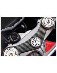 Protège T de fourche "Carbone" pour MV AGUSTA F4